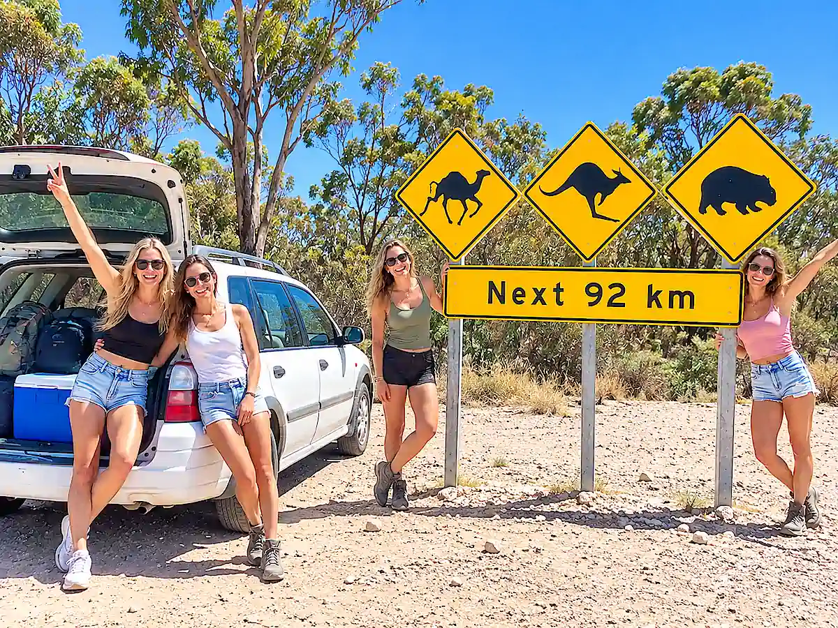 Voiture d'occasion en Australie avec quatre amies en road trip, voyageant en break près de panneaux routiers australiens avec kangourou, chameau et wombat